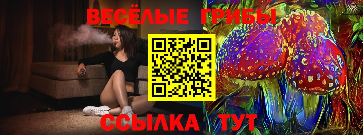 Галлюциногенные грибы прущие грибы  Вход с VPN  Ярославль  Псилоцибиновые грибы Psilocybine cubensis 