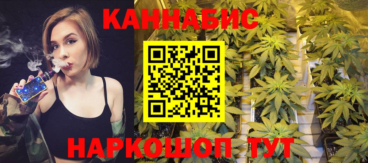 Канабис план  Каннабис сатива  Канабис Ganja  Ярославль  Вход с VPN 