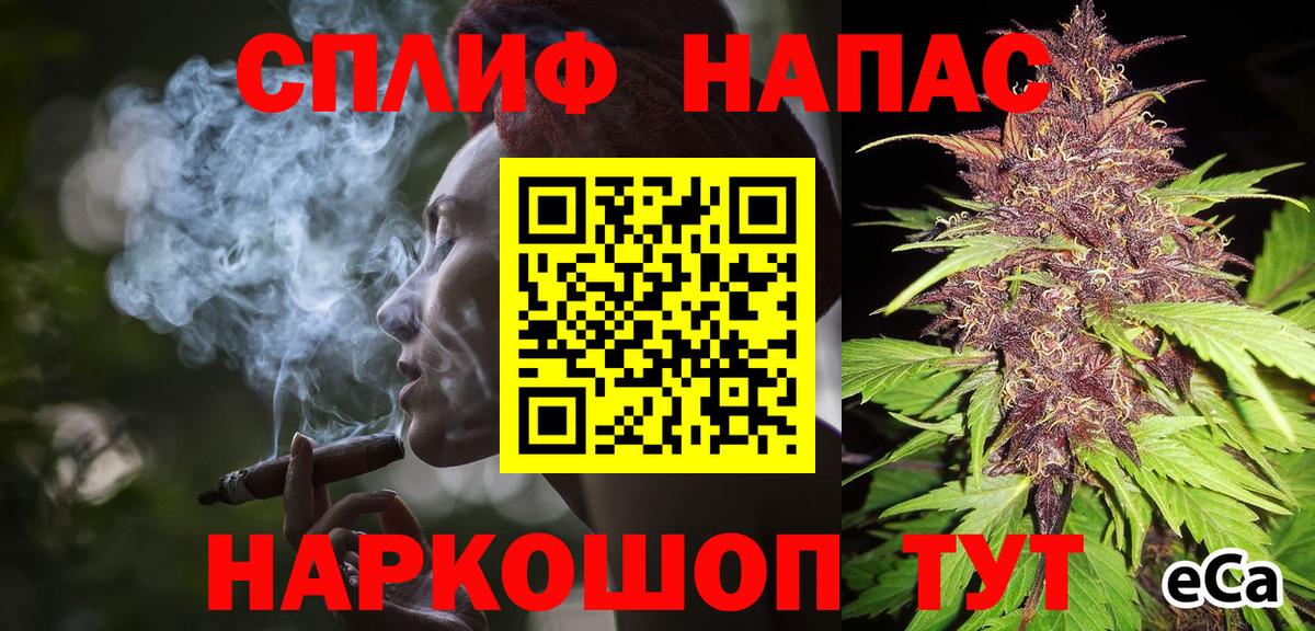Бошки Шишки сатива Ярославль